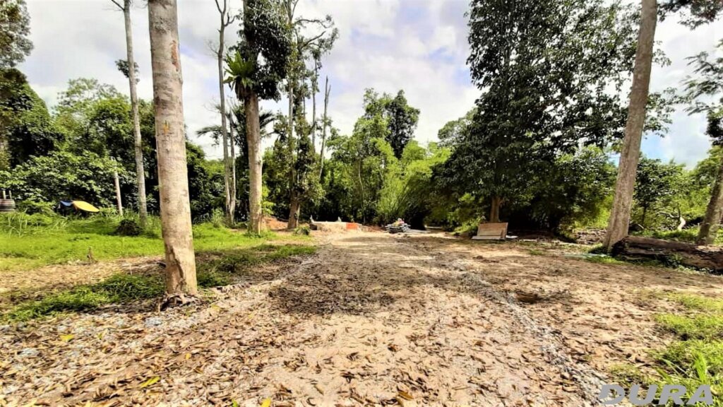 Access road to the bridge (061119).