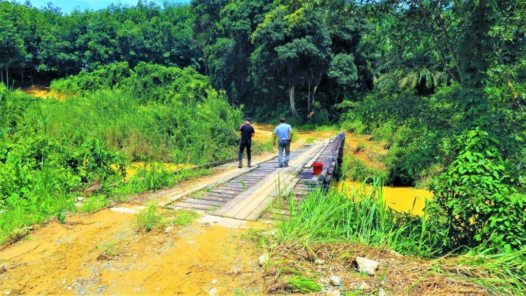 Existing damaged timber bridge.