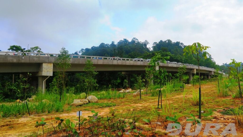 Open ceremony day for CFS bridge -22-09-2015-